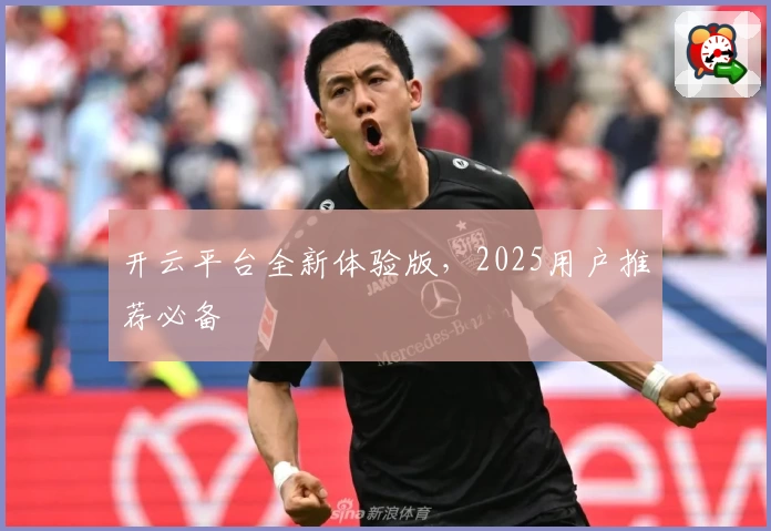 开云平台全新体验版，2025用户推荐必备