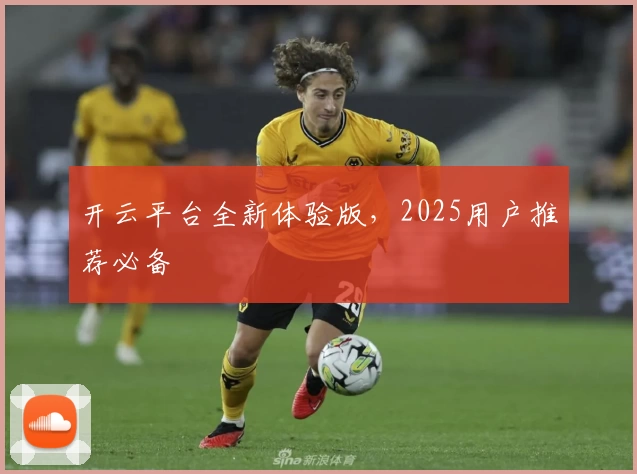 开云平台全新体验版，2025用户推荐必备