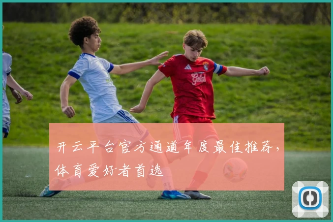 开云平台官方通道年度最佳推荐，体育爱好者首选