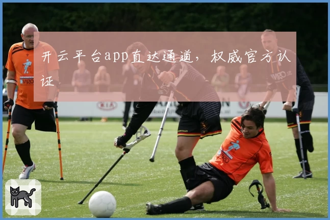 开云平台app直达通道，权威官方认证