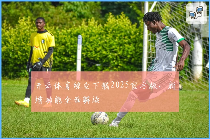 开云体育综合下载2025官方版，新增功能全面解读