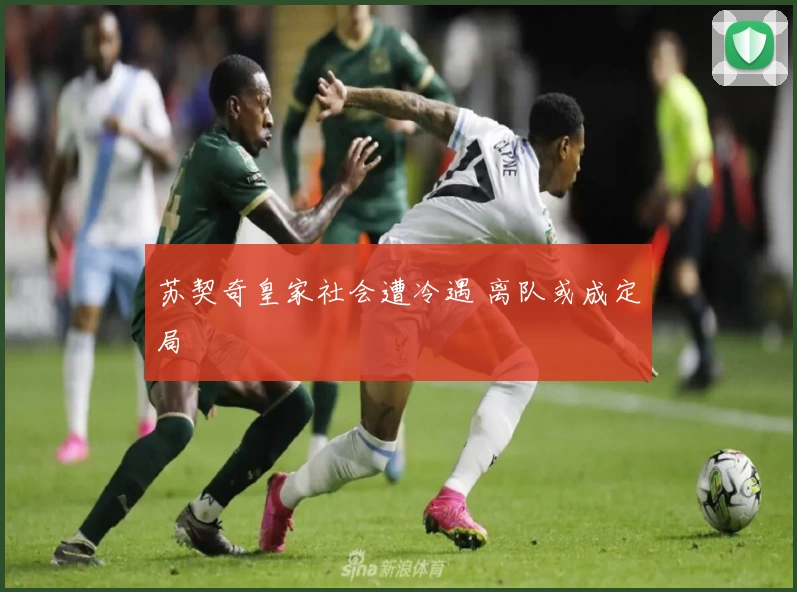 苏契奇皇家社会遭冷遇 离队或成定局